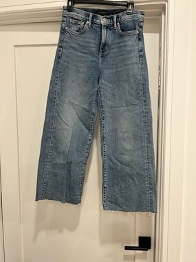 Banana Republic Wide Leg Crop Jeans - Light Blue Wash